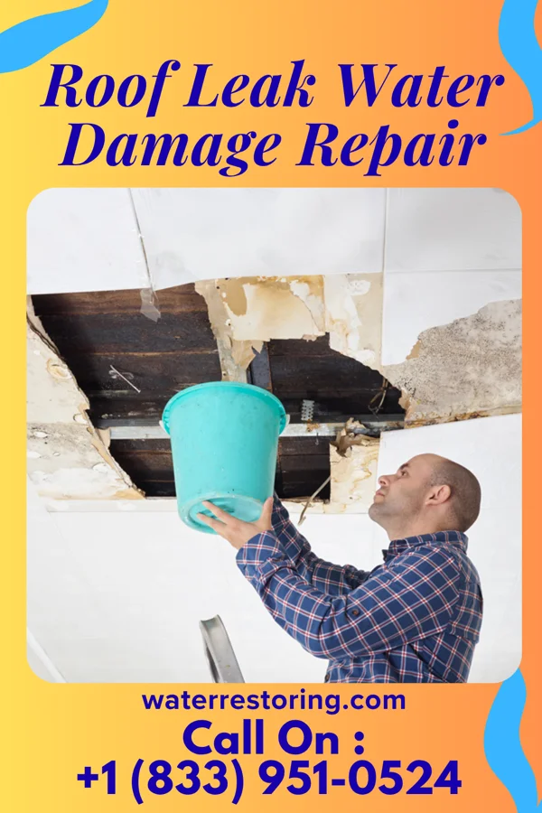 Roof Leak Water Damage Repair in Marble Rock, IA